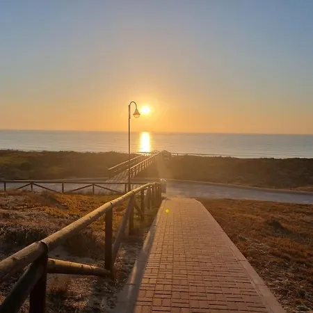 4adelfas4 Torrevieja